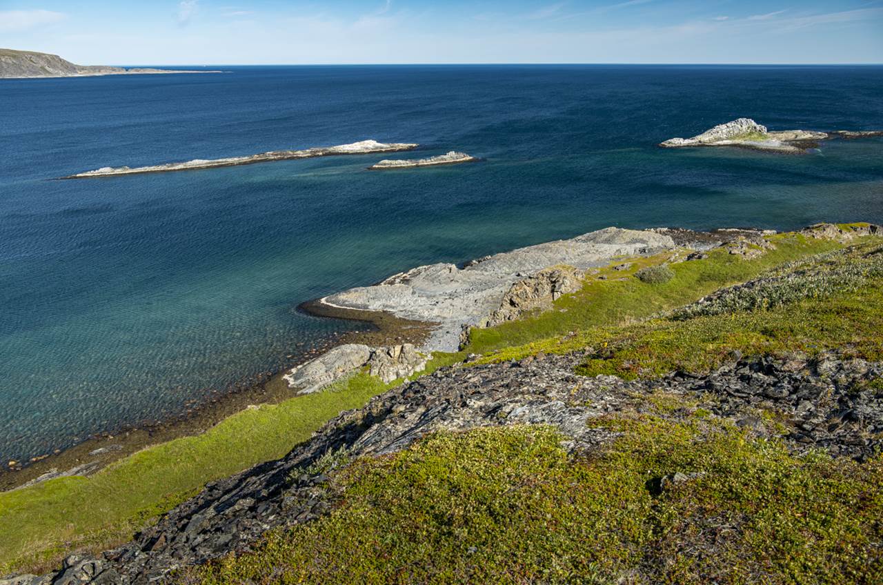 veines kongsfjord arctic lodge sea