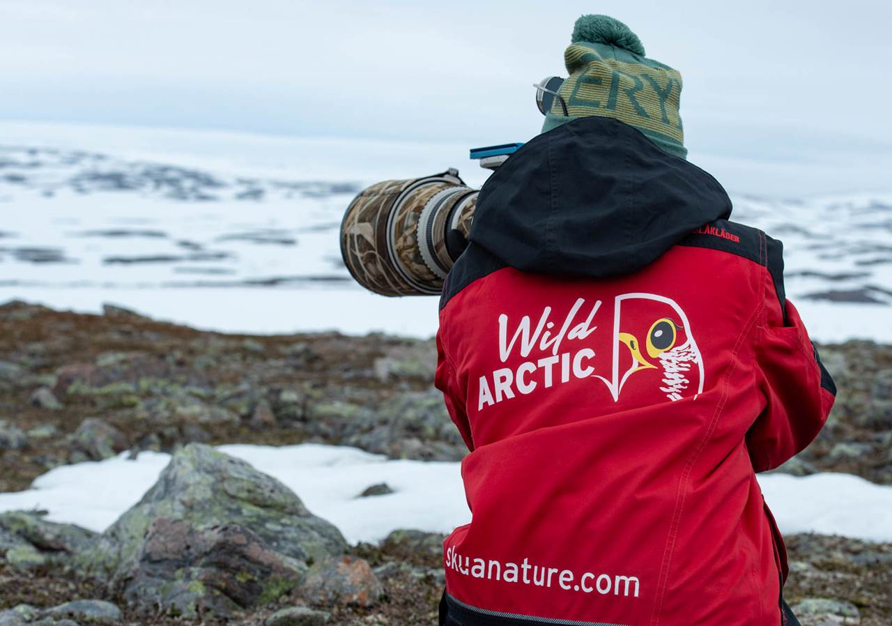 epic arctic tour skua 19