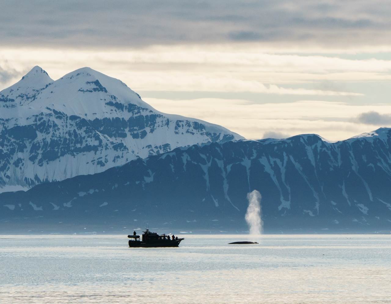 epic arctic tour skua 22