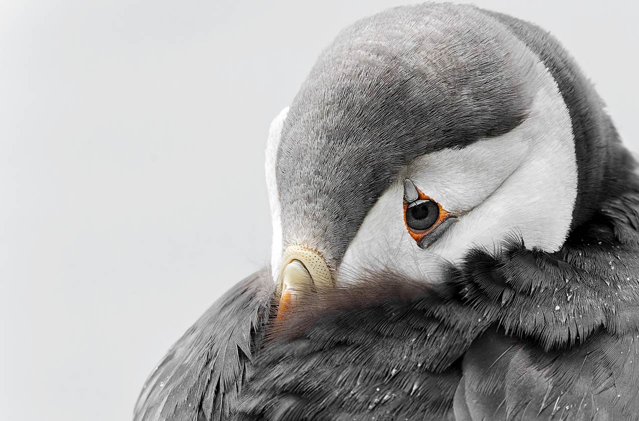 varanger photographic winter tour 7