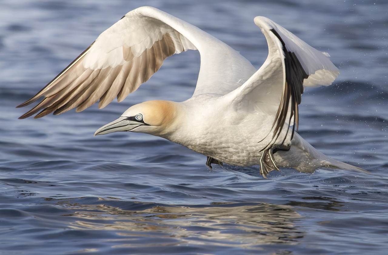 varanger spring photographic tour 26