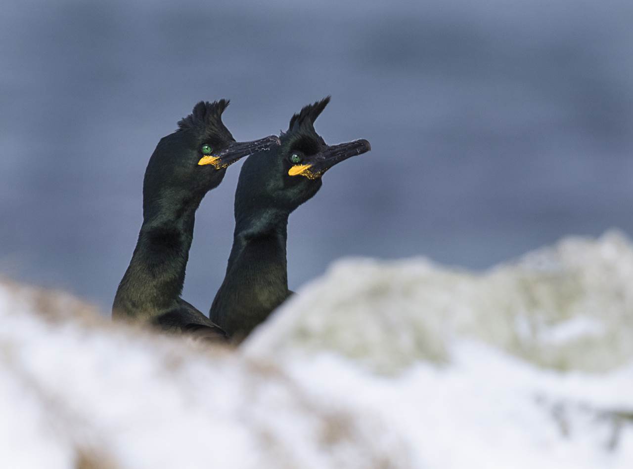 varanger photographic summer tour 12