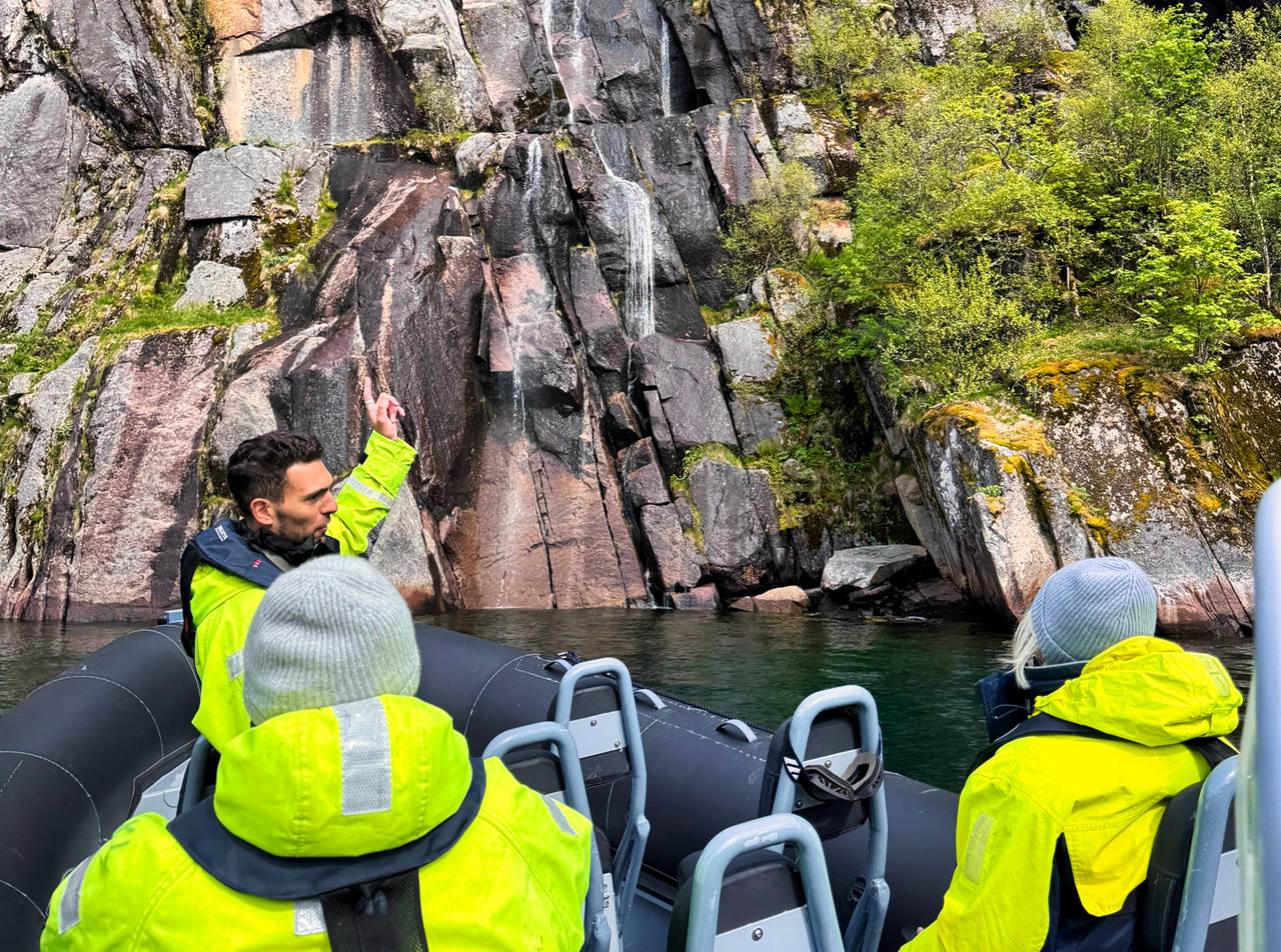 lofoten skua nature 21