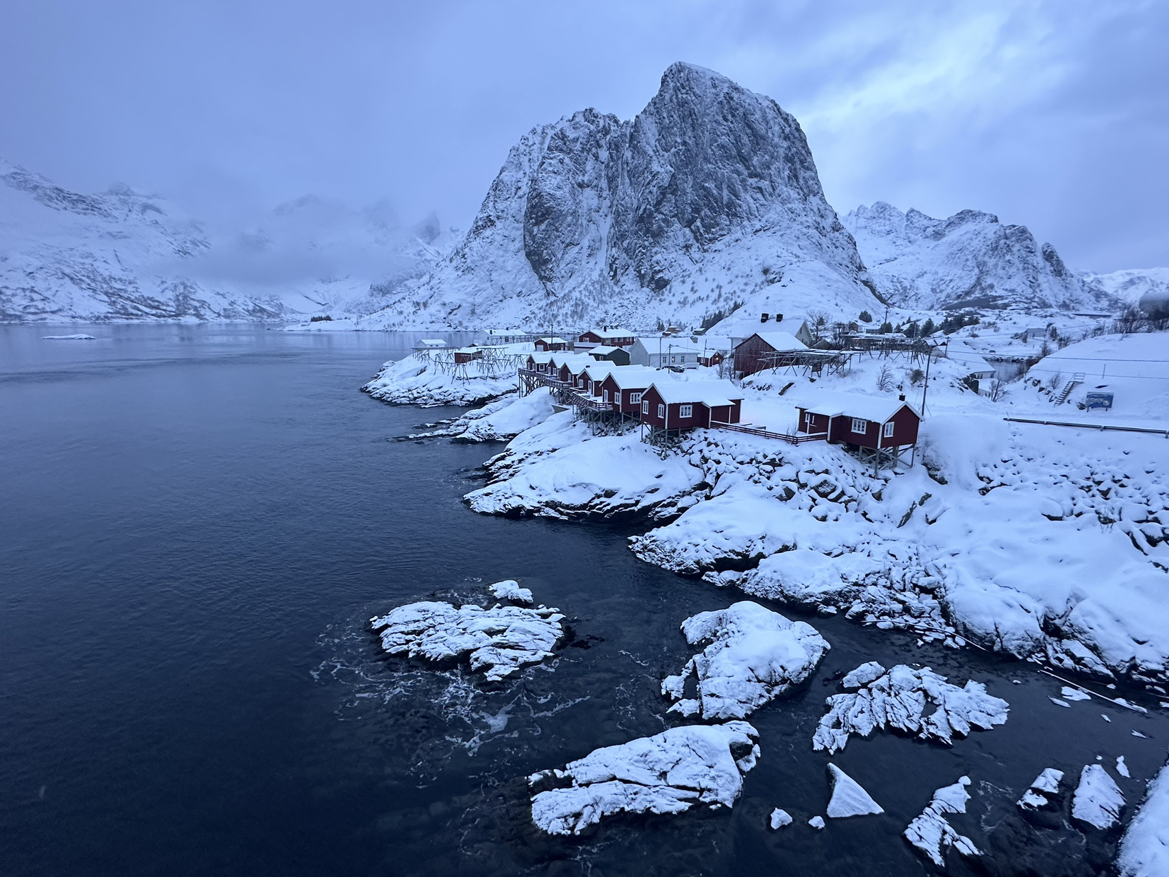 lofoten eagle tour skua 28