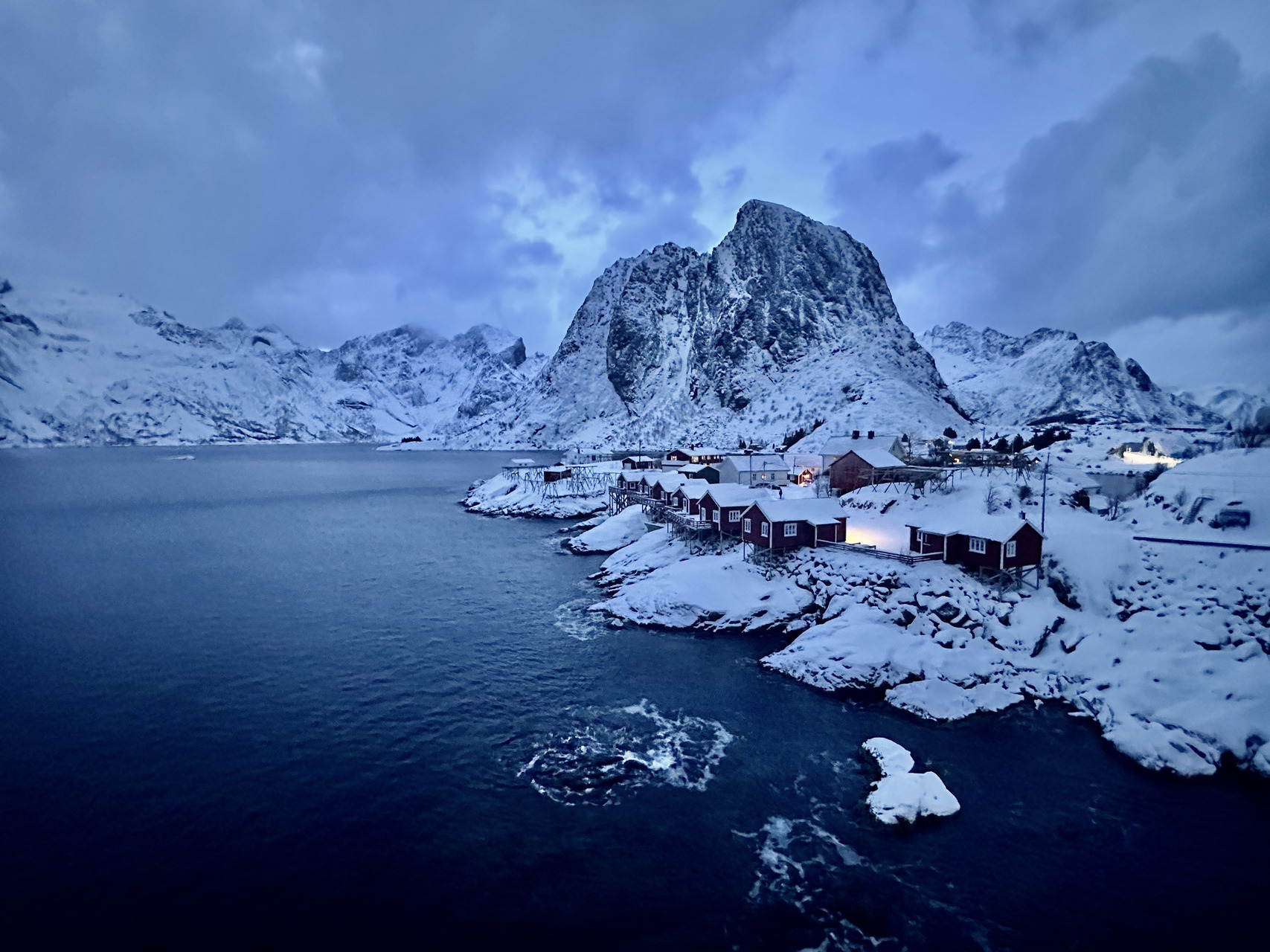 lofoten eagle tour skua 26