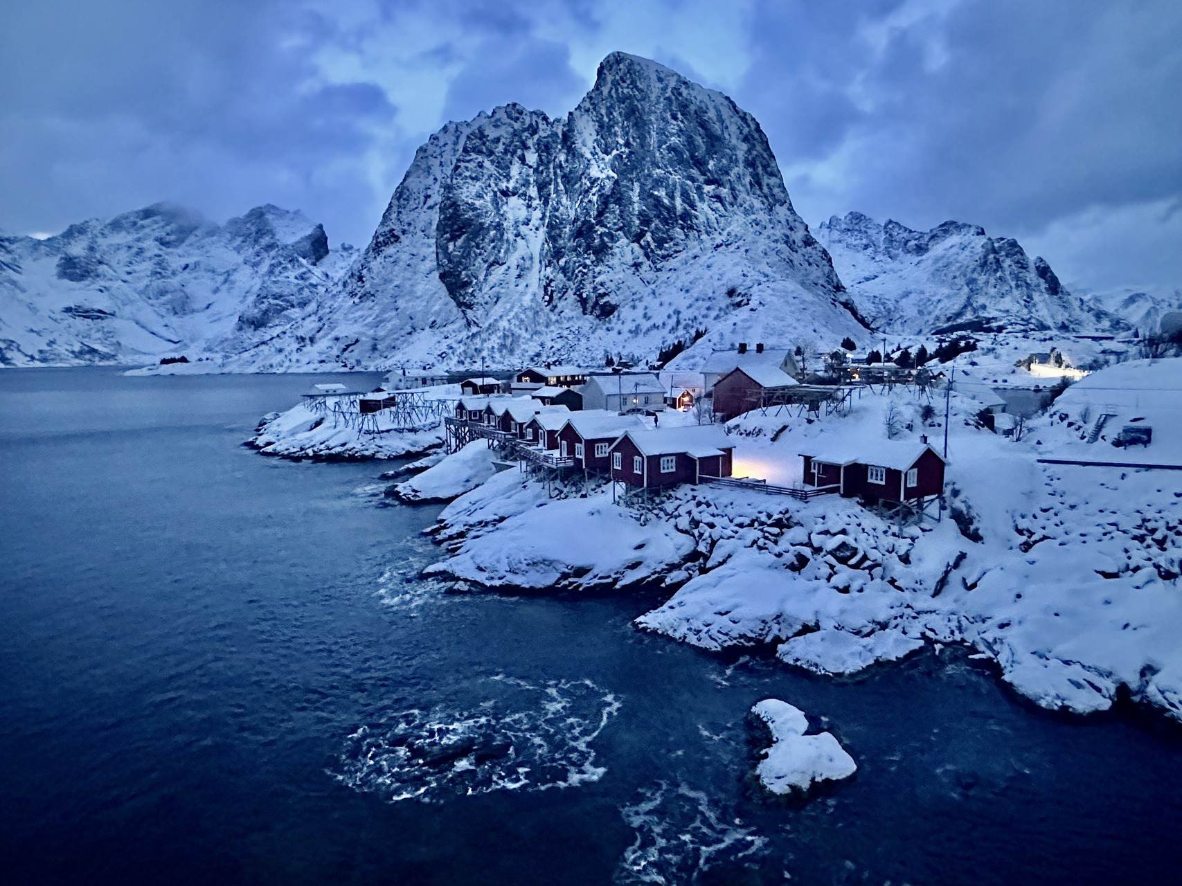 lofoten eagle tour skua 27