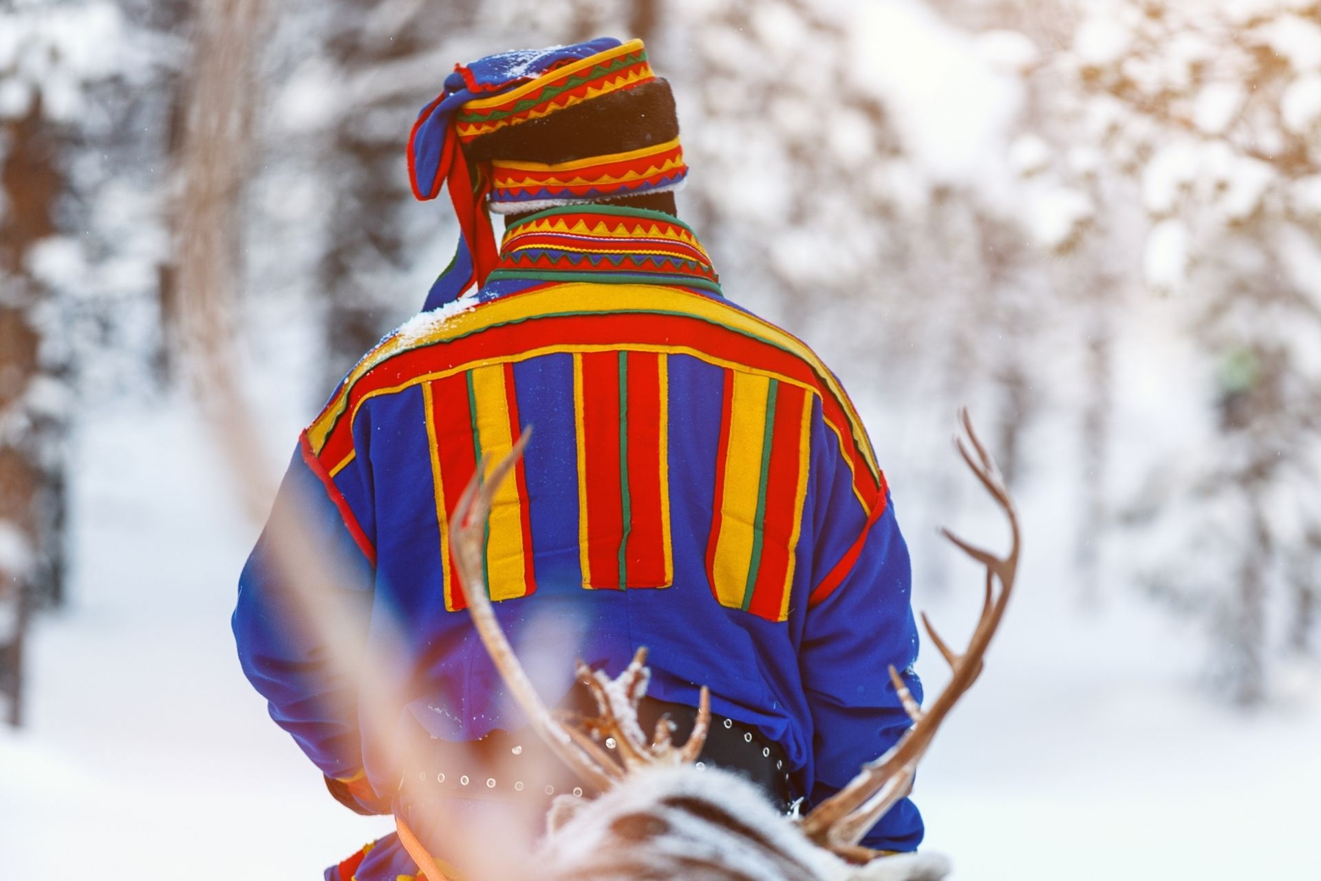 tour aurore boreali skua nature 1