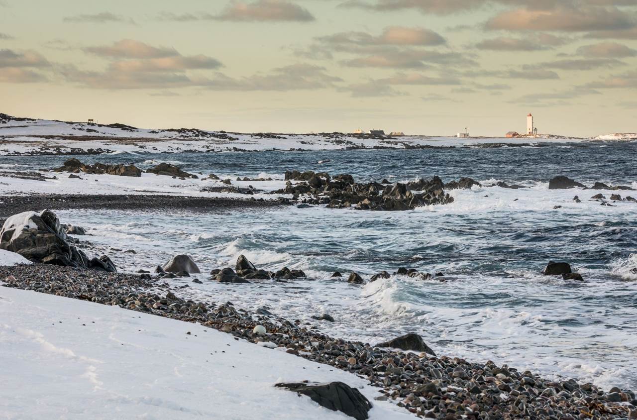 tour aurore boreali skua nature 7
