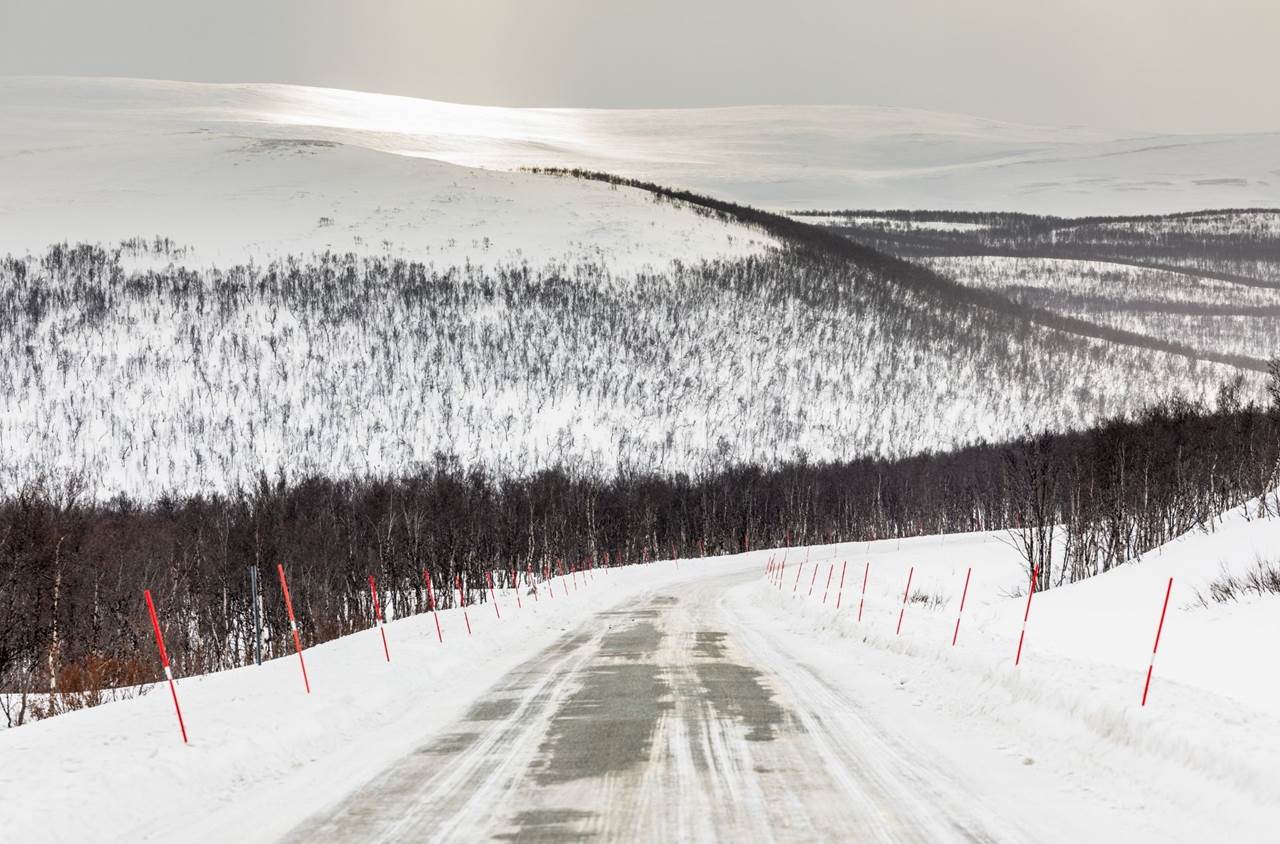 tour aurore boreali skua nature 9