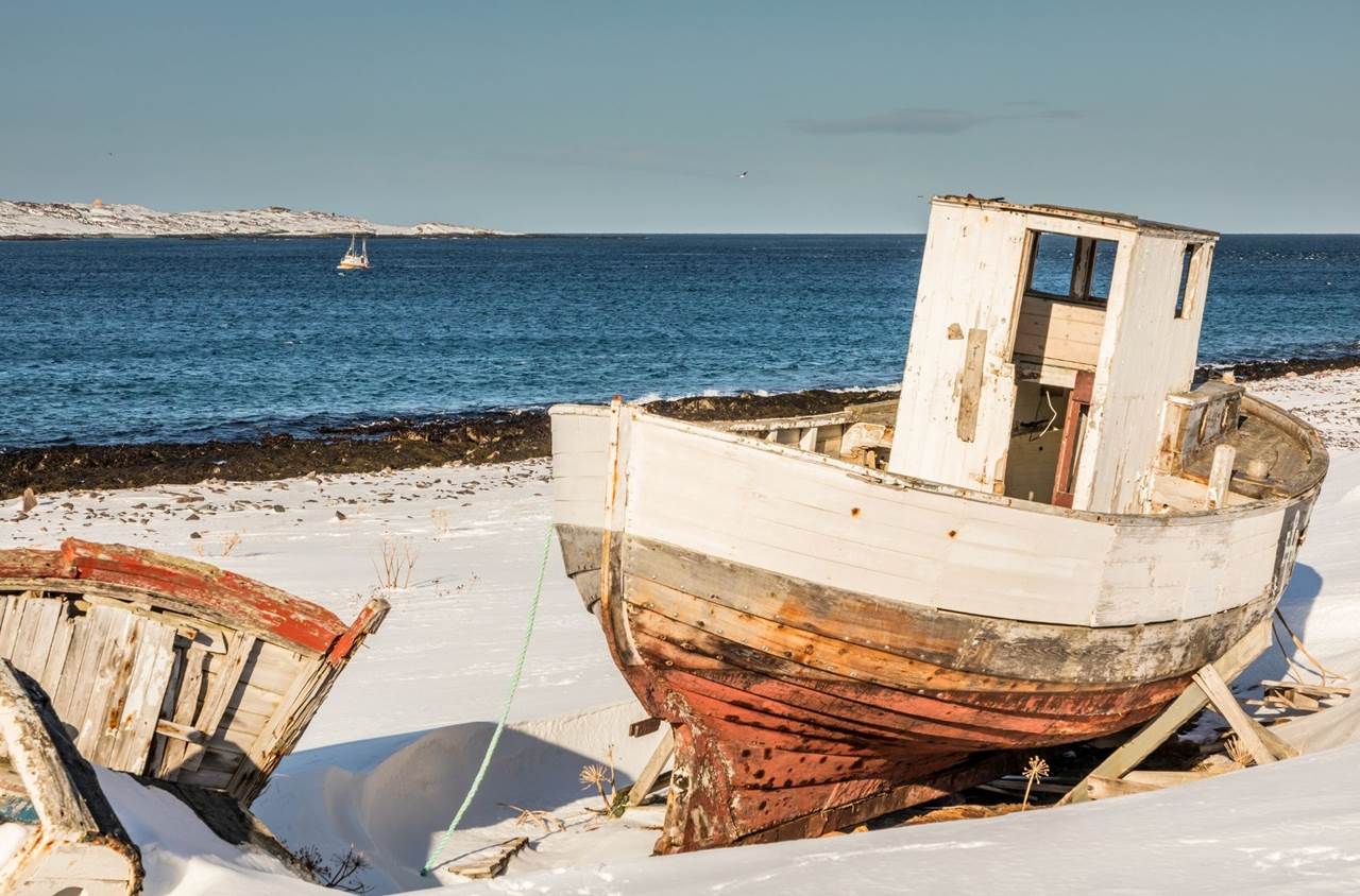 tour aurore boreali skua nature 11