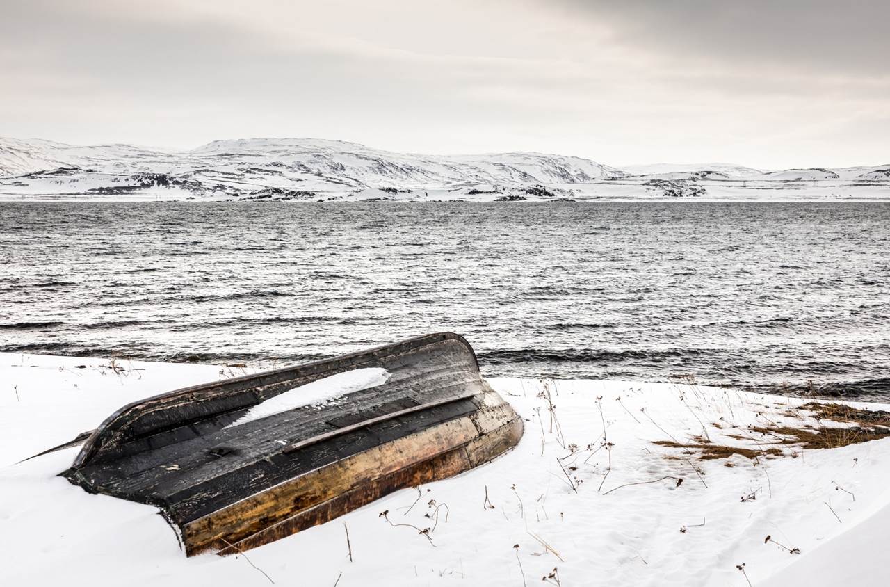 tour aurore boreali skua nature varanger 6