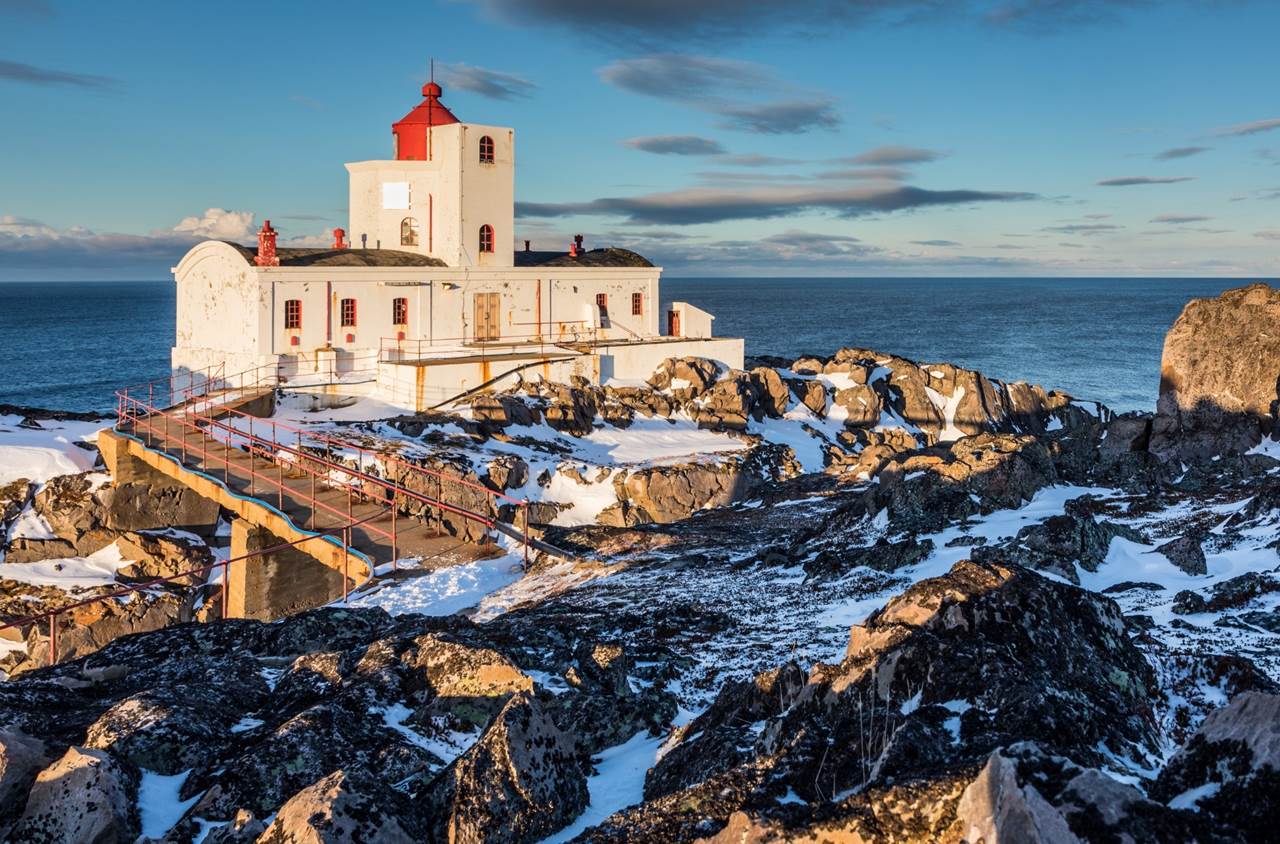 tour aurore boreali skua nature varanger 7