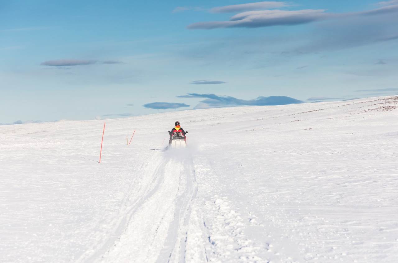 tour aurore boreali skua nature varanger 9