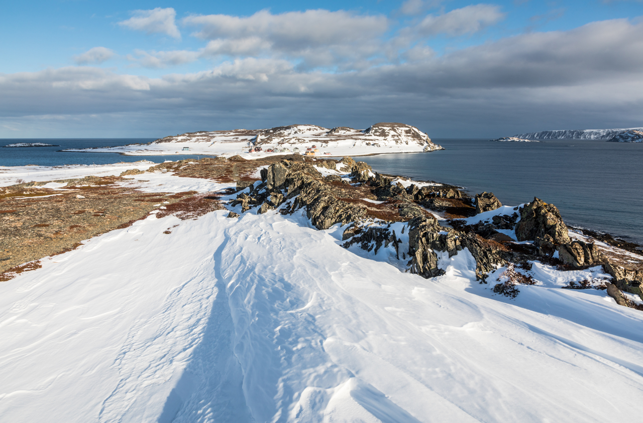 tour aurore boreali skua nature varanger 2