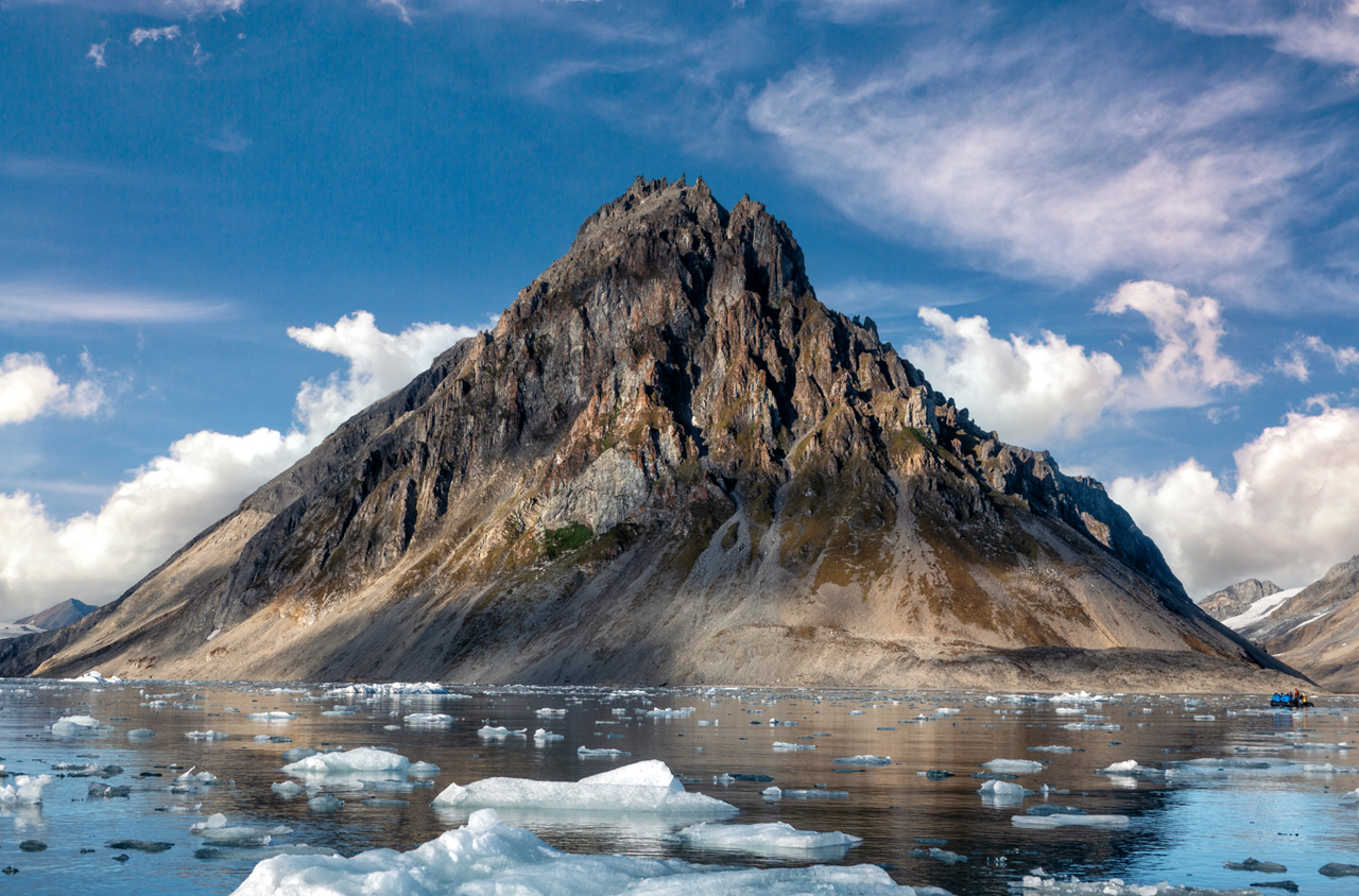 epic arctic tour skua nature 6