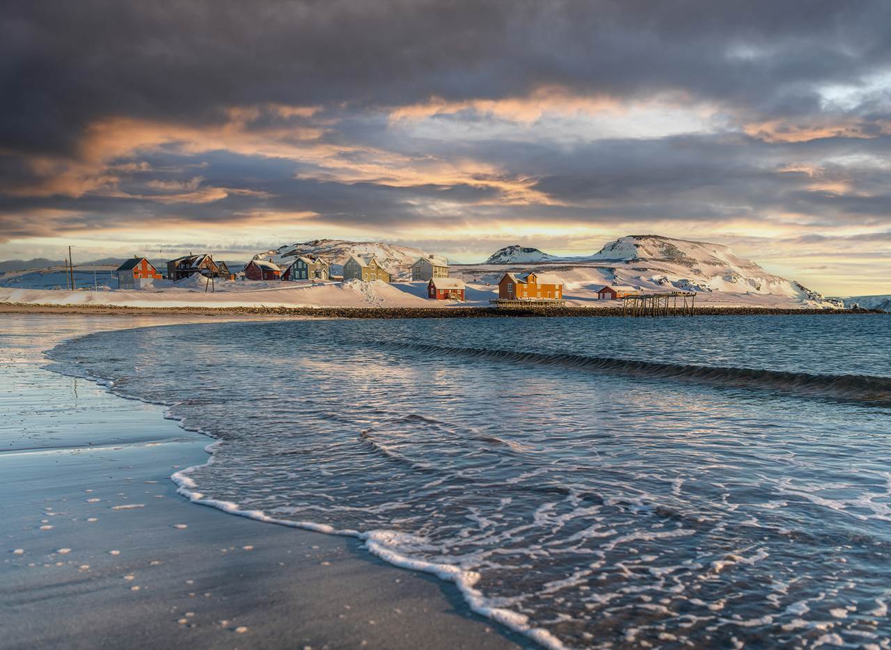 veines wild arctic greppi hd 8112080 2