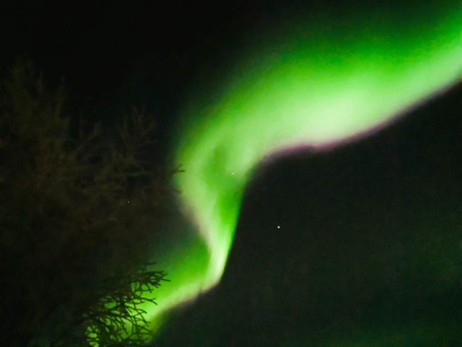 pxl 20260123 210729302night