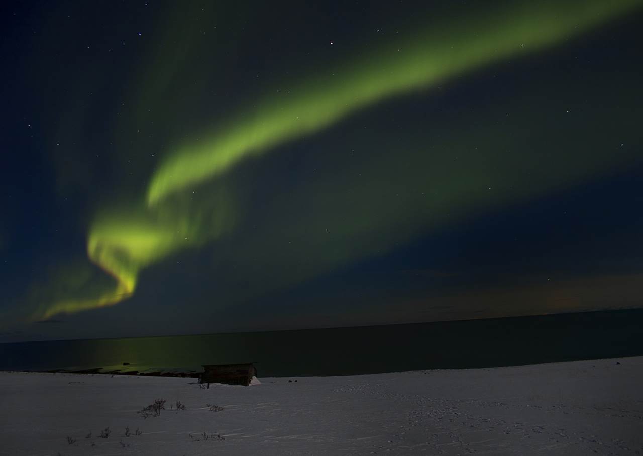 auroraboreall arctic merce