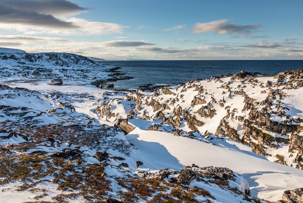 tour aurore boreali skua nature 19