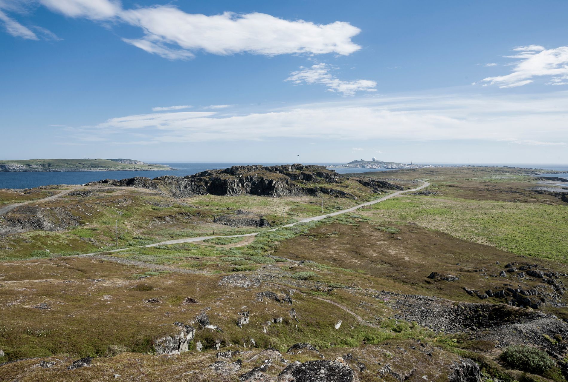 midnight sun summer varanger skua nature 12