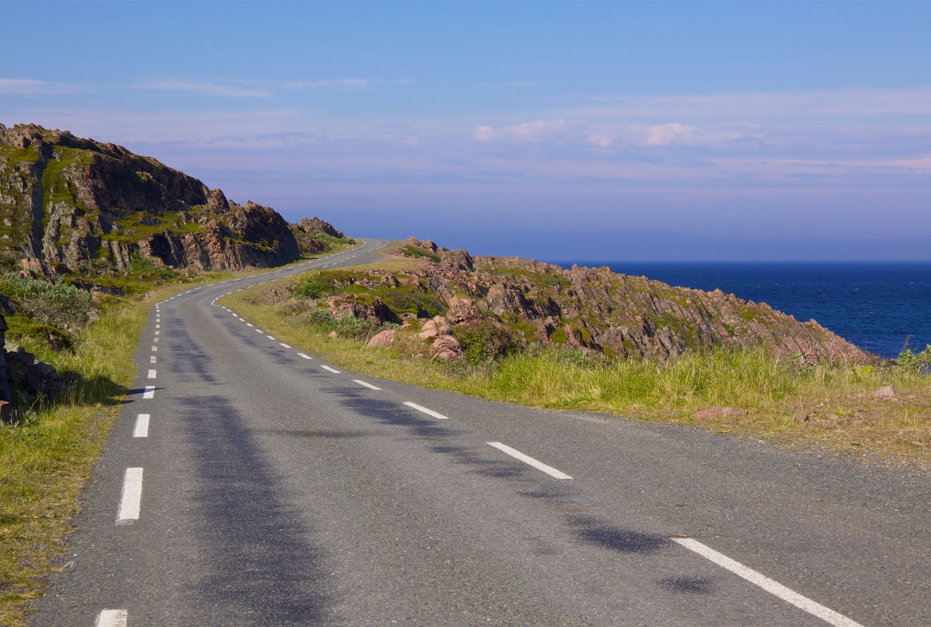 midnight sun summer varanger skua nature 17