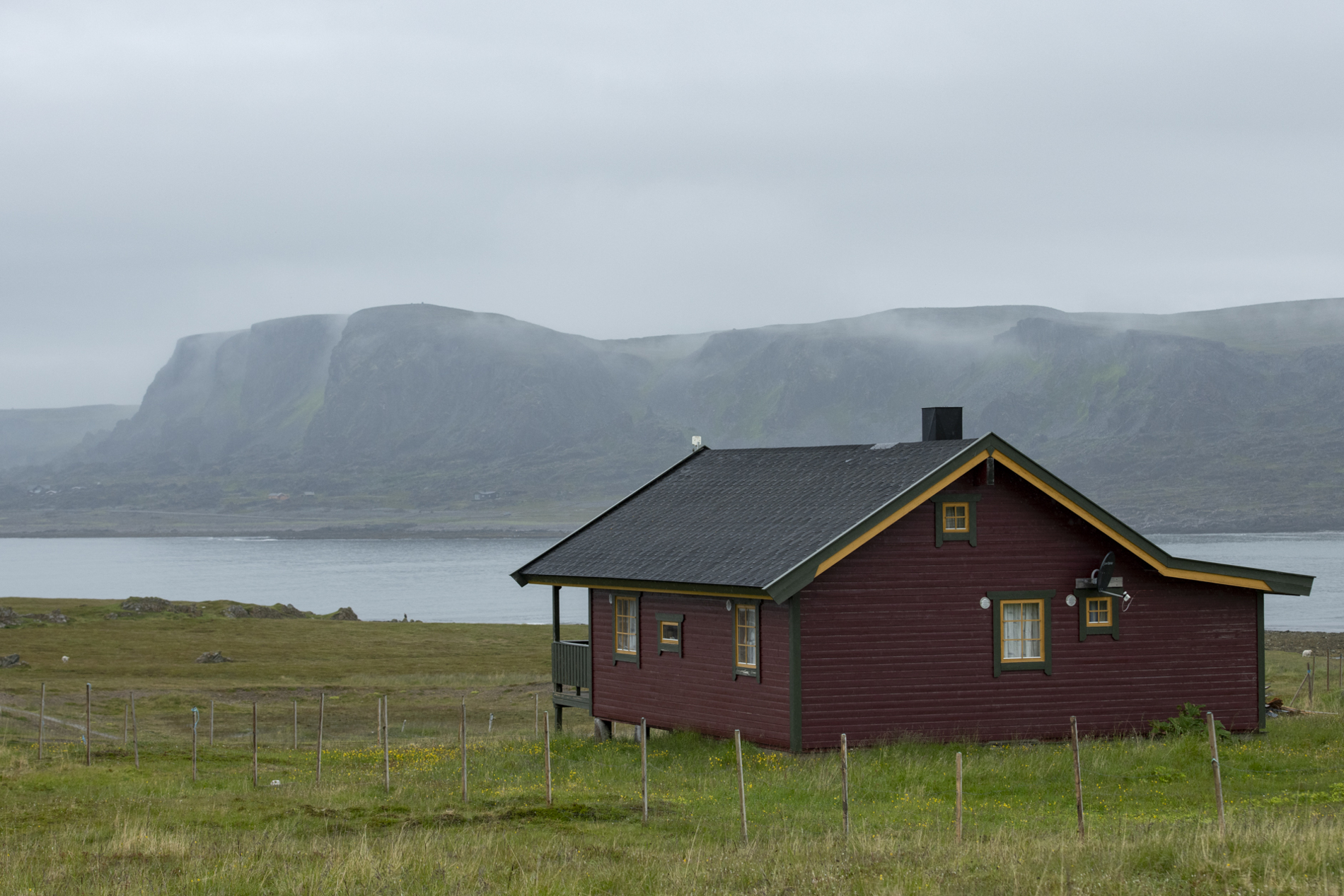 tourmidnightsunpuffinskuanature 6